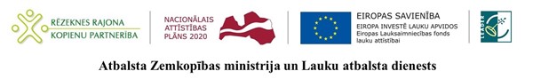 Logo rakstiem 600 x 89